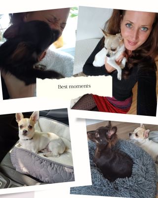 Kluci ušatý 😊❤️🐾🍀 #Albert #Jonášek